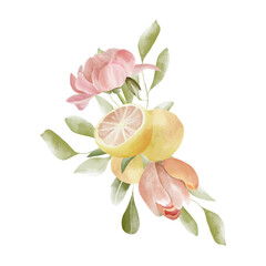 Watercolor bouquet with citrus, pink flowers, tulip, anemone, peony, roses and greenery. Pink grapefruit illustration 