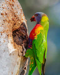 It's a dirty job but someone has to do it