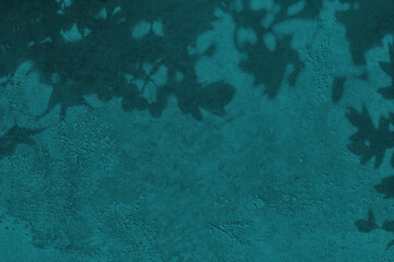 Shadow of leaves on turquoise green teal concrete wall texture with roughness and irregularities....