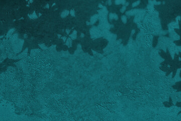 Shadow of leaves on turquoise green teal concrete wall texture with roughness and irregularities. Abstract nature concept background. Copy space for text overlay, poster mockup flat lay 