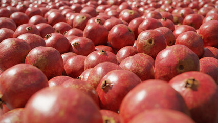 pomegranates, delicious fruits background