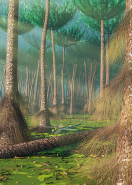 Wattieza: one of the earliest known trees