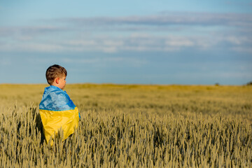 Naklejka na ściany i meble Little boy with ukrainian flag in wheat field