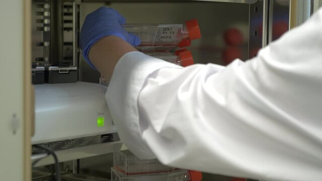 Scientist taking out cold samples from fridge. Panning shot. Close up.