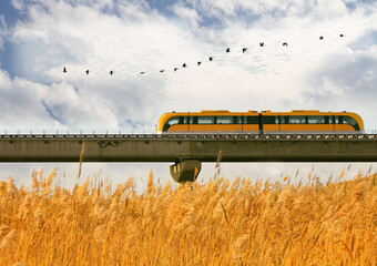 Autumn background. A running yellow subway with the sunset reeds and birds. Magnetic levitation...