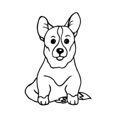 The dog is a corgi breed puppy, isolated on a white background.Vector illustration of an animal in the doodle style.