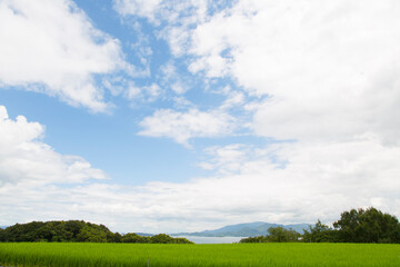 Obraz premium 日本の風景