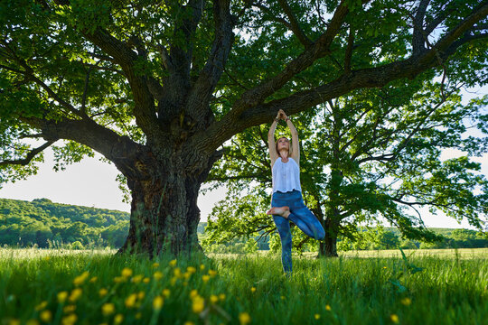 Young Woman Yoga Practitioner In The Forest