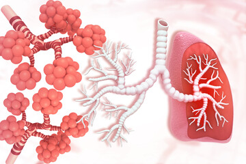 Human lungs alveoli. 3d illustration..