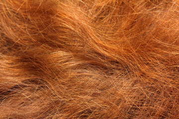 red hair close-up background