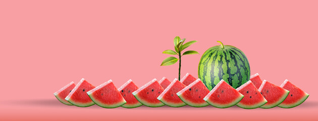 Watermelon. Composition of sliced watermelon slices on a light background, banner, postcard.