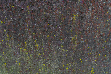 Painted iron surface with a large rusty, black spot and metal corrosion. Old background with peeling and cracking paint.