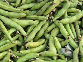 Traditional broad beans from the market