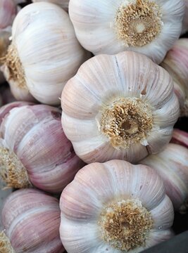 Fresh garlic from the market 