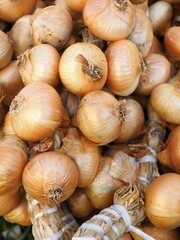 Fresh onions from the market 