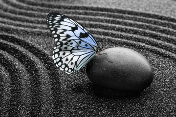 Fototapeta na wymiar Beautiful butterfly and stone on black sand with pattern. Zen concept