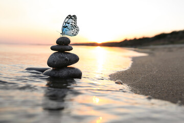 Beautiful butterfly and stones on sandy beach near sea at sunset. Zen concept