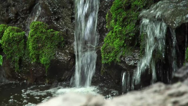 Waterfall fall into river with lush green moss on the dark rock