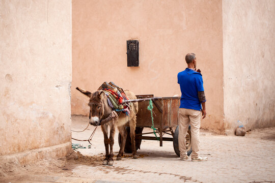 Hombre, burro y carro. Oficios tradicionales. Estampa costumbrista en Marrakech (Marruecos).
