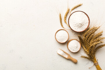 Flat lay of Wheat flour in wooden bowl with wheat spikelets on colored background. world wheat...