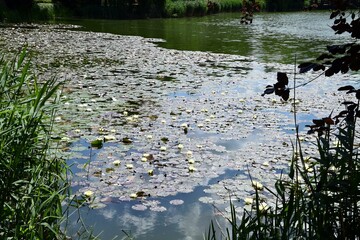 Bad Salzungen in Thüringen