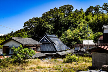 Fototapeta premium house