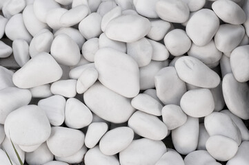 Fototapeta premium White, large, smooth decorative stones.