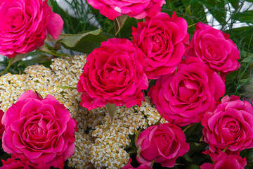 Bouquet of flowers - a composition of pink roses. Background for a postcard.