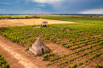 Trullo tra i vigneti e i campi di grano a Lizzano, Salento