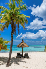 Palm trees in beautiful beach and straw umbrellas and tropical sea in Paradise island.	