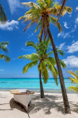 Palmbomen en boot in tropische zonnige strandresort in Paradise Island.