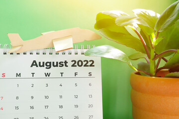 Selective focus of August 2022 desk calendar with airplane model, ornamental plant and copy space on green background. August vacation and holiday planning concept.