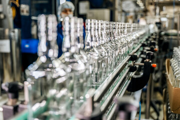 Many empty bottles on a conveyor belt at alcoholic beverage factory