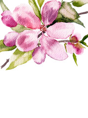 Watercolor pink floral background. Floral border for birthday card, greeting card, wedding invitation design. Sakura flowers border.