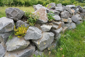 garden,dry wall,garten,trockenmauer