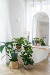 View of a spacious and elegant bathroom