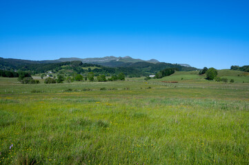 Obraz premium Paysage d'Auvergne sur le plateau de l'Artense au printemps dans le département du Puy-de-Dôme en France