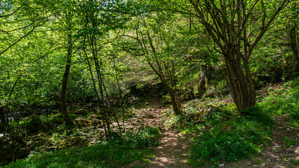 Beautiful panoramic view of the Asón river in the hiking route of the source and waterfall of the Asón river (Asón) Cantabria