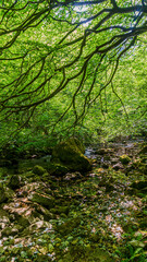 Fototapeta na wymiar Beautiful panoramic view of the Asón river in the hiking route of the source and waterfall of the Asón river (Asón) Cantabria