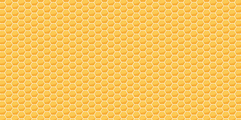 Honeycomb cells texture. Vector honey concept wallpaper.	 - obrazy, fototapety, plakaty