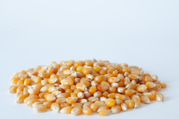 Heap of organic, natural raw corn kernels for popcorn with shallow depth. Close up view of ripe corn seeds known as "Zea Mays" isolated on white