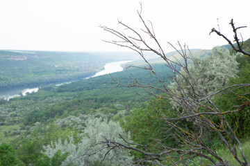 Photography with beautiful nature from Moldova in summer. Landscape in Europe.