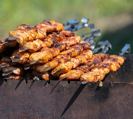 Meat on skewers grilled on coals.