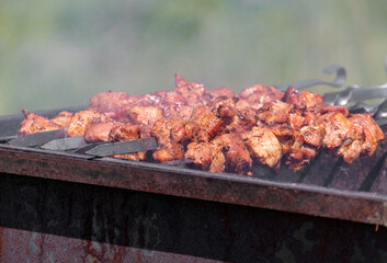 Meat on skewers grilled on coals.