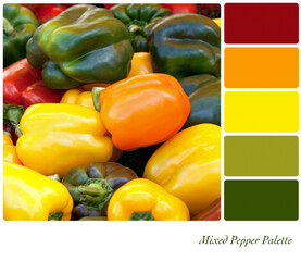 Mixed peppers or capsicums, in a colour palette with complimentary colour swatches