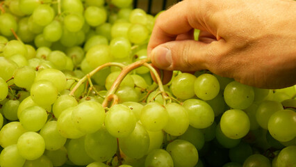 Close-up of very beautiful grapes in a trading basket and a male buyer's hand takes the bunch