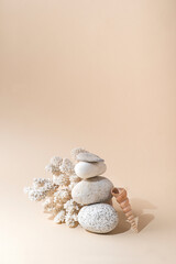 Balance composition, marine concept, stones, shell and white coral. Natural beige soft marine...