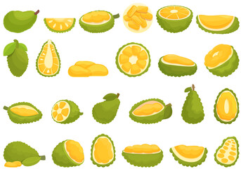 Jackfruit icons set cartoon vector. Vegan fruit. Tropical peeled