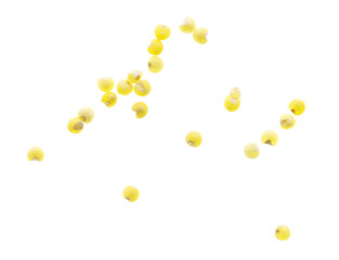 Millet groats isolated on a white background.