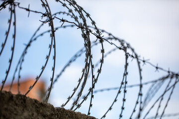 Barbed wire on the fence.